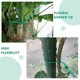 thumbnail image 4 of Garden Wire Ties Fixing Plants for Gardening Outdoor Agriculture Green Iron Pvc Material Reusable 6rolls, 4 of 5