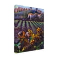 thumbnail image 2 of Clif Hadfield 'View Of Tuscany' Outdoor Canvas 47x35, 2 of 5