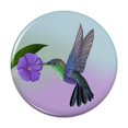 thumbnail image 1 of Hummingbird Crowned Woodnymph Purple Violet Compact Pocket Purse Hand Cosmetic Makeup Mirror - 3" Diameter, 1 of 3