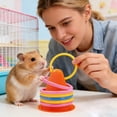 thumbnail image 5 of BotaniNest Rabbit Interactive Educational Interesting Rabbit Rings And Games Suitable For Small Animals Squirrels Birds Cats Hamsters Indoor Or Cages, 5 of 5