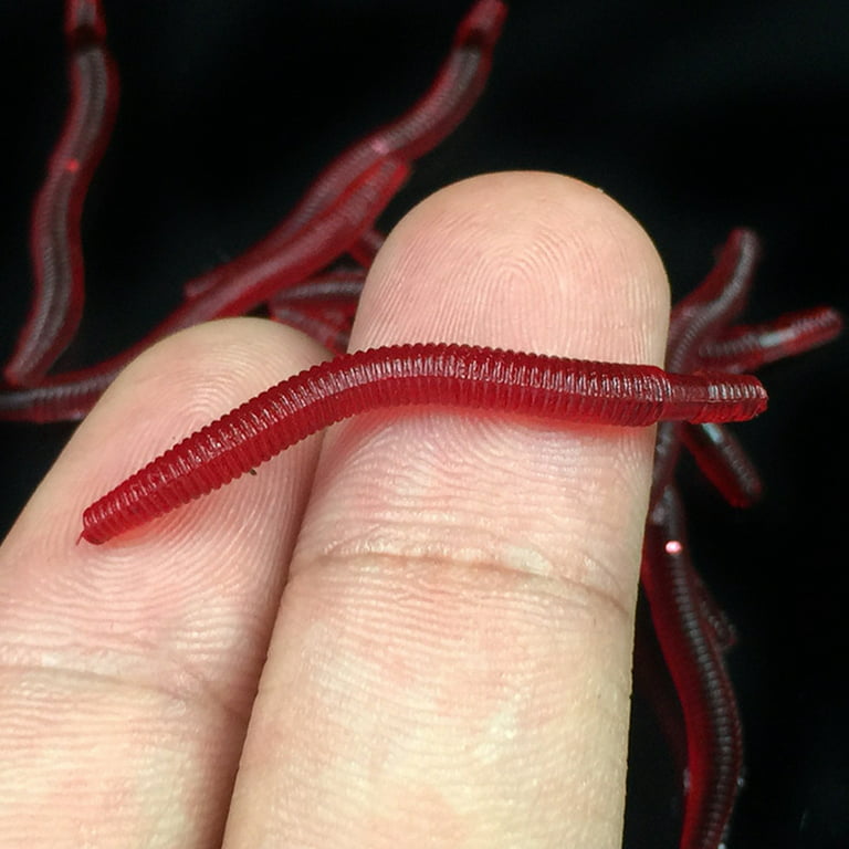 80 Pcs Artificial Earthworm, Soft Silicone Worm Fishing Lures Simulation Red Worms Bait, Size: Large