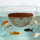 thumbnail image 3 of Accesorio de Acuario Área de Descanso para Peces Flotante, Materiales Seguros y Duraderos, Proporciona Escondites para Peces de Agua Dulce y Salada, 3 of 5