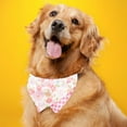 thumbnail image 3 of ievspot Cat Collar Bib with Bell Adjustable Pet Collars Cat Bandana Bells Pet Scarf for Kitty And Some Puppies, 3 of 8