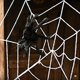 thumbnail image 4 of Toystoory SpiderWeb Halloween telaraña Terror fiesta decoración Bar casa embrujada Halloween arañas Web decoración de Halloween 1,5/2,5 m Kits de decoración para fiestas Blanco 2.5 m Toystoory HA007461-03B, 4 of 6