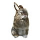 thumbnail image 1 of Easter Simulation Model Simulation RealRabbit Model Toys, 1 of 2