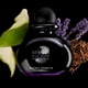 thumbnail image 2 of Spray Sexual Noir Eau de Toilette Michel Germain, 2 of 6