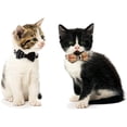 thumbnail image 4 of LAICAIW 2 Colliers pour Chats, avec Nœud Papillon Détachable Réglable et Clochette Argentée, pour Cou de Petits Chiens et Chats 7.8 Pouces-10.2 Pouces, 4 of 7