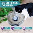 thumbnail image 3 of Pet Fountain Brook Glass 2.7 L para gatos y perros pequeños con filtro, 3 of 6
