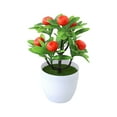 thumbnail image 1 of tredstone Home Decor With Artificial Plant Selections Low Cost Maintenance False Plant orange 1Set, 1 of 6