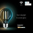 thumbnail image 3 of Globe Electric 34920 G25-Shape E26-Base Wi-Fi Smart Dimmable Tunable-White Edison-Style 60-Watt-Equivalent LED Light Bulb, 3 of 4