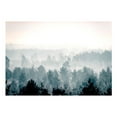 thumbnail image 2 of Tiptophomedecor Peel and Stick Forest Wallpaper Wall Mural - Winter Forest - Removable Wall Decals, 2 of 3