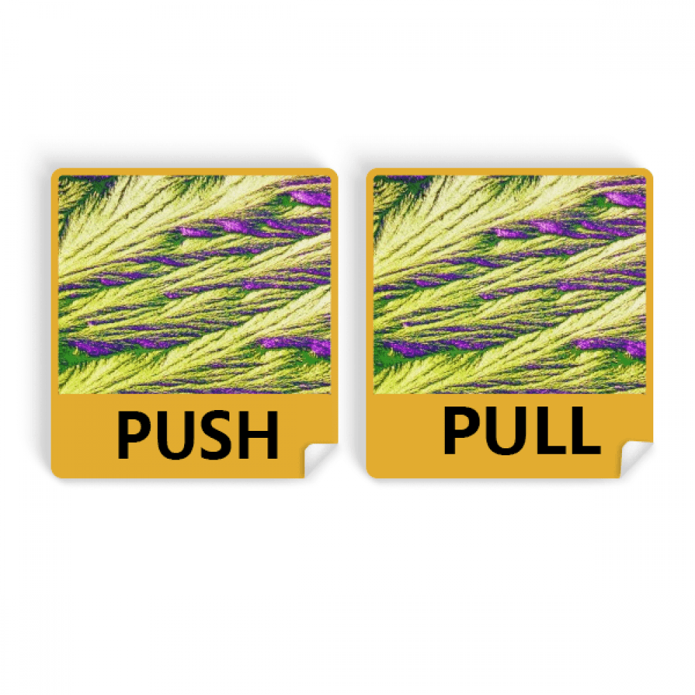 Reeds Cluster Feather Colour Wallpaper Push Pull Door Sign Vinyl