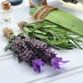 thumbnail image 3 of Healing Solutions 10ml Oils - Rosemary Essential Oil - 0.33 Fluid Ounces, 3 of 7