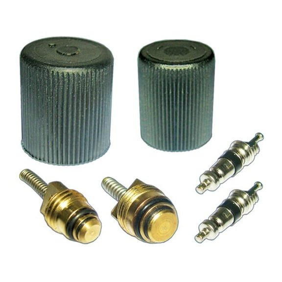 A/C System Valve Core and Cap Kit - Compatible with 2008 - 2011, 2013 Land Rover LR2 2009 2010