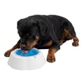thumbnail image 2 of One Paw, Cooling Dog Bowl, Large, Refreshing, Blue, for Dogs and Cats, 2 of 7