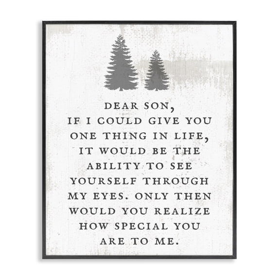 Stupell Industries Farmhouse Dear Son How Special You Are Phrase Rustic Forest Black Framed Giclee Art, 24 x 30, by Lil' Rue