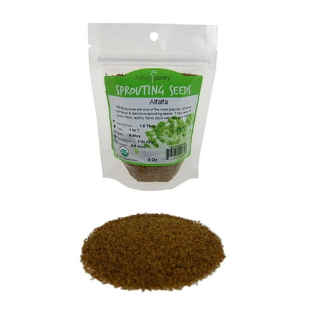 Bean Seed Germination (Organic Alfalfa Sprouting Seed - 4 Oz -Handy Pantry Brand - High Sprout Germination- Edible Seeds, Gardening, Hydroponics, Growing Salad Sprouts, Planting, Food Storage &)