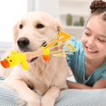 thumbnail image 6 of Interactive Puppy Toy with Squeaker and Crinkle Sound for Teething Dogs and Puppies, 6 of 8