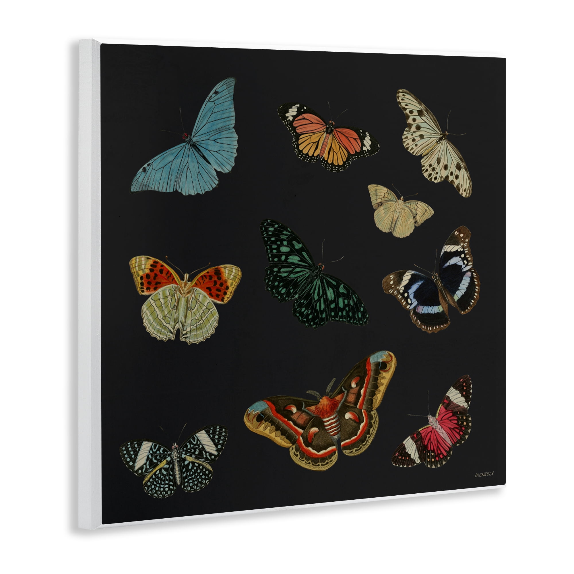 Stupell Industries Insects Group on Black Wall Plaque Art, design by Dan Meneely