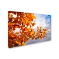 thumbnail image 2 of Trademark Fine Art 'Soul Colors' Canvas Art by Philippe Sainte-Laudy, 2 of 3