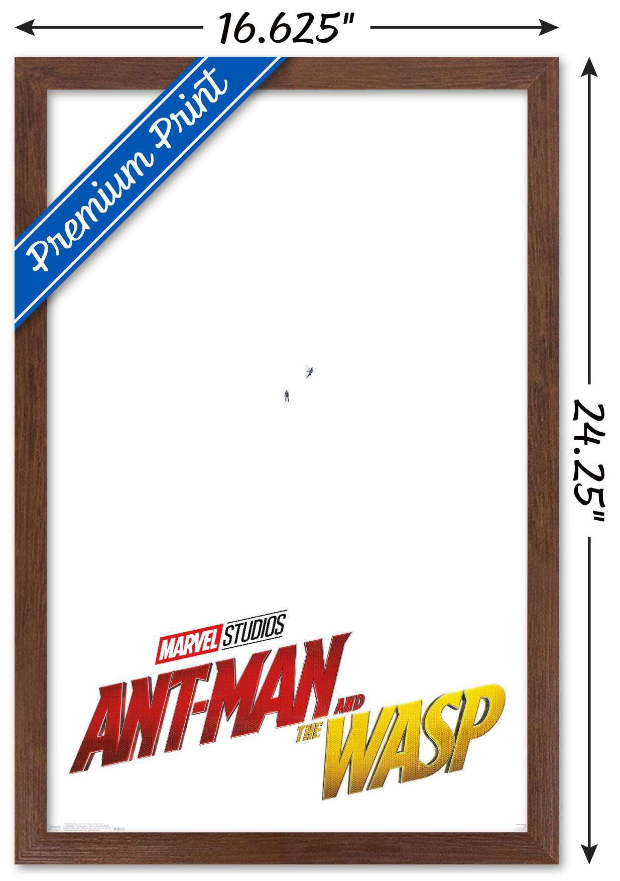 Marvel Cinematic Universe - Ant-Man and the Wasp - One Sheet Wall Poster, 14.725" x 22.375", Framed