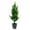 C, variant on sunsanly Artificial Bonsai Tree with Light USB Powered Desk Potted Tree Realistic Greenery Fake Green Plant for Office Home Decor