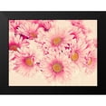 thumbnail image 2 of Navas, Emily 14x12 Black Modern Framed Museum Art Print Titled - Pink Daisies I, 2 of 5