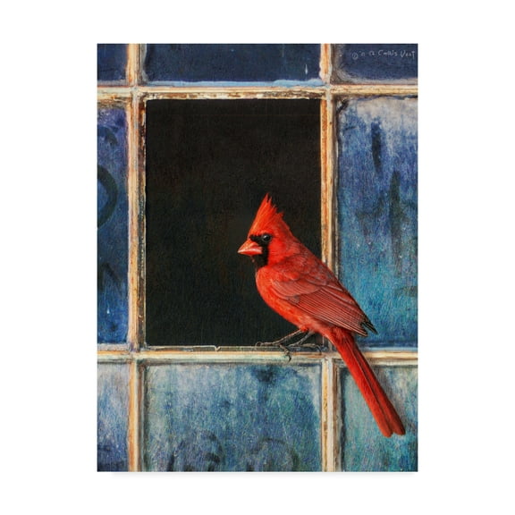 Trademark Fine Art 'Cardinal Window' Canvas Art by Chris Vest