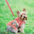 thumbnail image 4 of Small Dog Harness And Leash Set Puppy Vest Harnesses Adjustable, 4 of 5