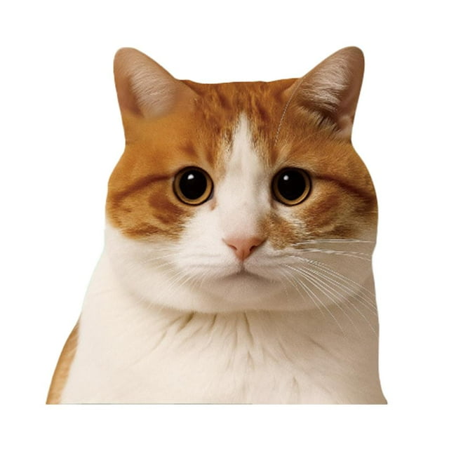 Cute and Funny Cat Expression Personalized Creative Stickers G4I5 STOCK IN