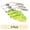 Chartreuse, variant on (2 pack) Ozark Trail 1/2 oz. Spinnerbait Lure for Bass Fishing, White