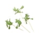thumbnail image 5 of 12 piezas de forma de bruja Cake Toppers de Halloween bruja escoba Magdalena Selecciones Toppers decoración del partido (color mezclado, como se muestra), 5 of 7