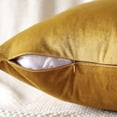 thumbnail image 2 of Cterwk 4 Pack Throw Pillow Covers Decorative Square Solid Thick Super Soft Velvet Cushion Case for Sofa Couch Living Room Office, 20 x 20inch, 2 of 8