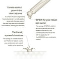 thumbnail image 3 of Sérum hidratante Mixsoon Master Serum 30 ml Korean Glass, 3 of 5