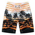 thumbnail image 2 of Shorts de Plage d'Été, 2 of 3