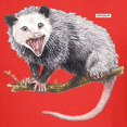 thumbnail image 3 of CafePress - Opossum Possum Animal Kids Dark T Shirt - Dark T-Shirt Kids XS-XL, 3 of 4