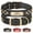 Black, variant on Didog Leather Personalised Dog Collar Engraved Nameplate for Small Medium Large Dogs