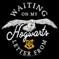 thumbnail image 2 of Boy's Harry Potter Waiting for My Hogwarts Letter Pull Over Hoodie, 2 of 4