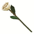 thumbnail image 2 of Lacquer Dipped Natural Cream/White Rose w/Green Leaves & Stem, 2 of 2