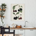 thumbnail image 3 of Stupell Industries Traditional Natural Detailed Cherry Studies Canvas Art, 36 x 48, by Lettered and Lined, 3 of 8