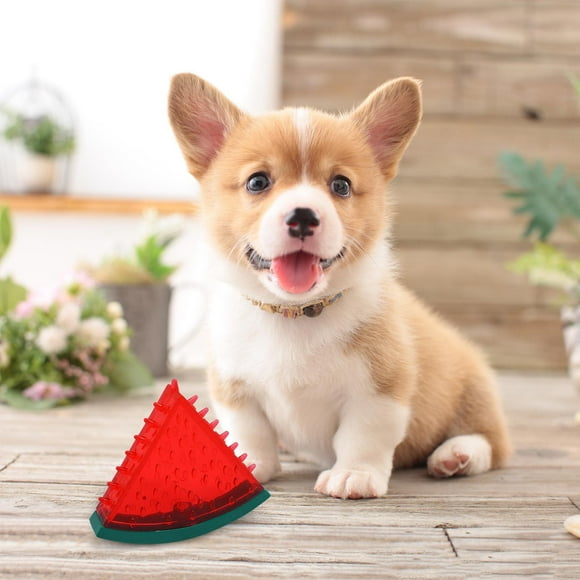 SIfdSeng Freezable Pet Teether Cooling Chew Toy Fruit Lemon Pineapple Watermelon Design Durable Dog Cooling Chew Toys for Dogs Teething Toy for Puppies Dog Toys Teething Toys for Puppies Large Breed