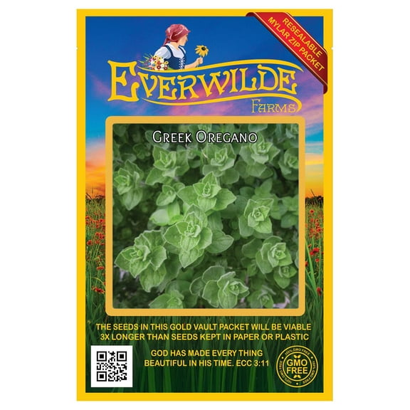 Everwilde Farms - 2000 Greek Oregano Herb Seeds - Gold Vault Seed Packet