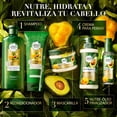 thumbnail image 2 of HERBAL ESSENCES Bio:Renew, Shampoo sin sulfatos ni parabenos 400 ml + Acondicionador sin sal* 250 ml, 2 of 7