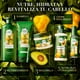 thumbnail image 2 of HERBAL ESSENCES Bio:Renew, Shampoo sin sulfatos ni parabenos 400 ml + Acondicionador sin sal* 250 ml, 2 of 7