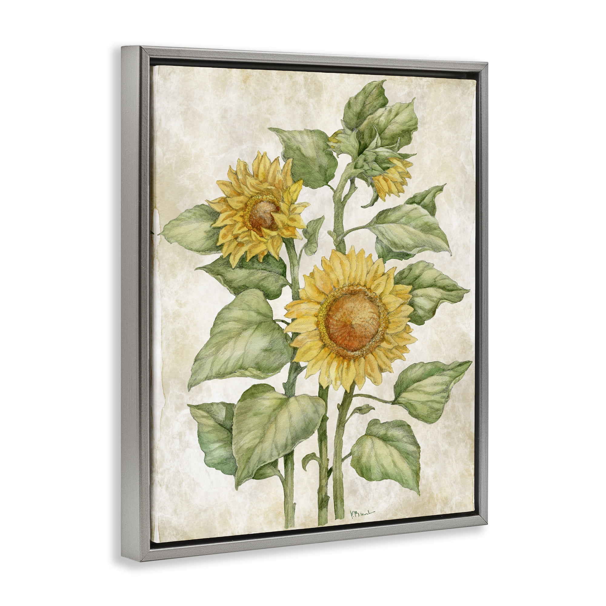 Stupell Industries Floral Journal Sunflower Gray Framed Floater Canvas Wall Art, design by Paul Brent