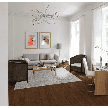 Koeckritz Soft & Cozy Area Rug, 6' x 10', Pewter, Stain Resistant, Pet & Kid Friendly