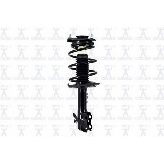 Suspension Strut and Coil Spring Assembly