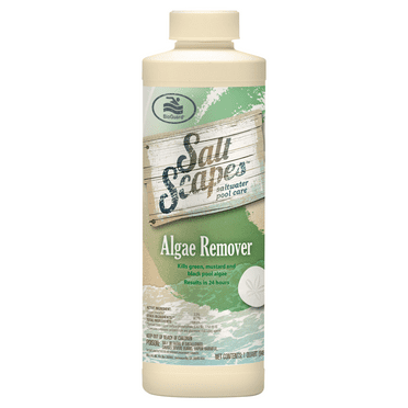 BioGuard SaltScapes Algae Remover - 1 qt