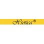 Xsotica® profile photo