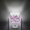 Pink, variant on Night Lights Plug into Wall, Spring Floral LED Night Light with Dusk to Dawn Sensor, Pink Onion Dandelion Flowers Botanical Decorative Nightlight for Hallway Bathroom Kitchen